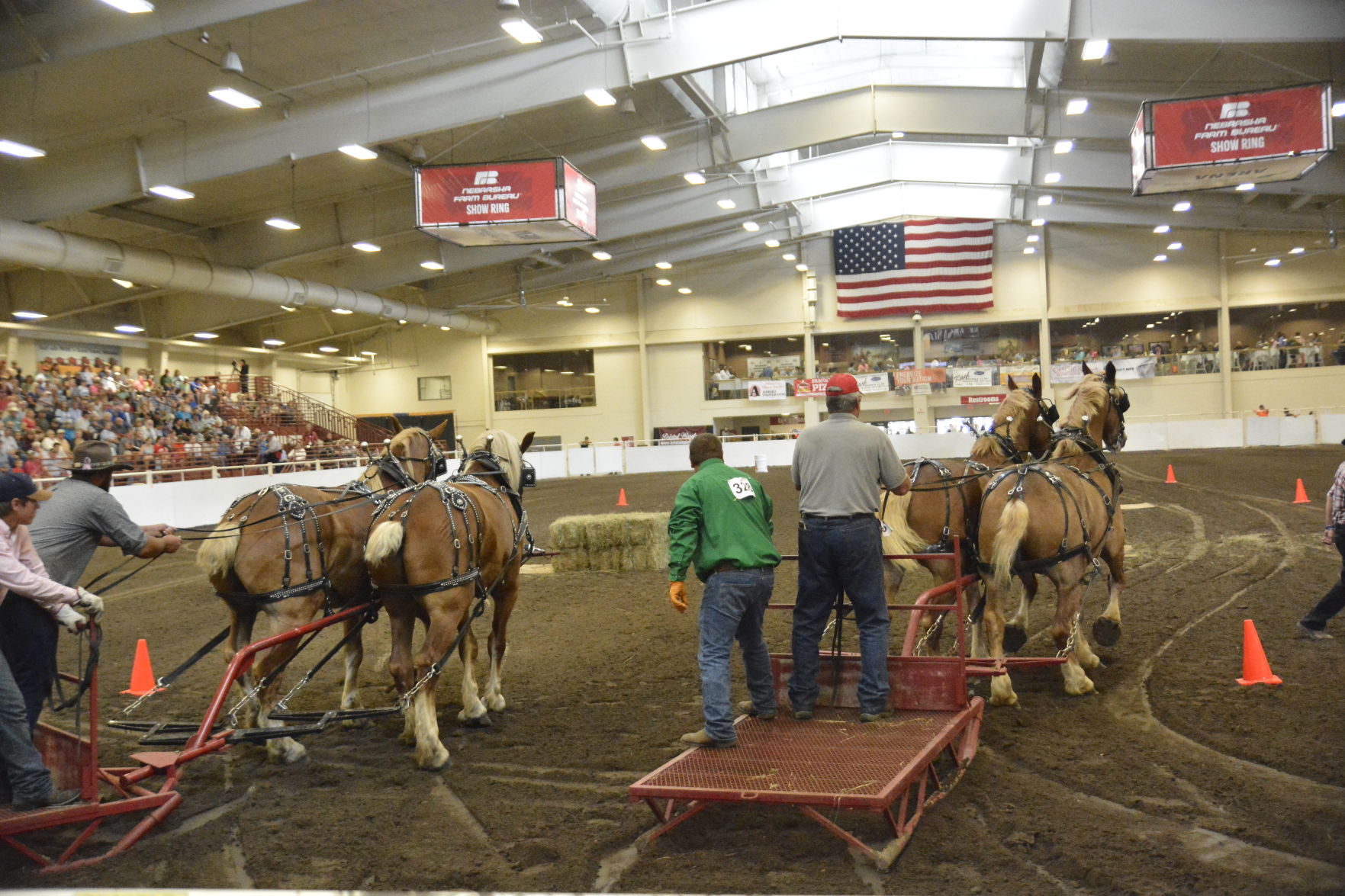 8-25-19 Draft Horse Hitch Final (128).JPG